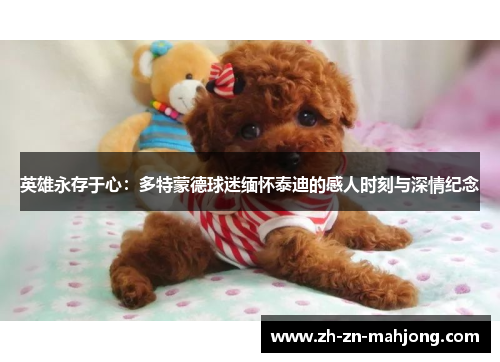 英雄永存于心：多特蒙德球迷缅怀泰迪的感人时刻与深情纪念