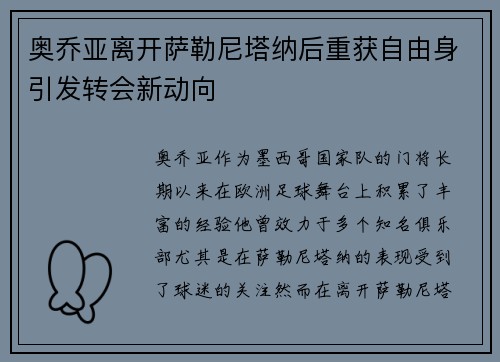 奥乔亚离开萨勒尼塔纳后重获自由身引发转会新动向 奥乔亚离开萨勒尼塔纳后重获自由身引发转会新动向
