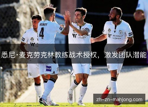 悉尼·麦克劳克林教练战术授权,激发团队潜能 悉尼·麦克劳克林教练战术授权,激发团队潜能